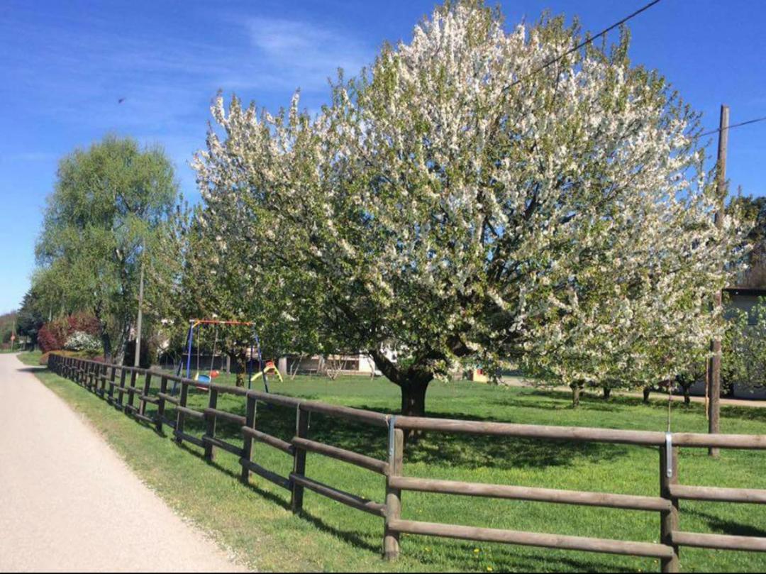 Azienda Agrituristica Scotti Somma Lombardo Exteriér fotografie