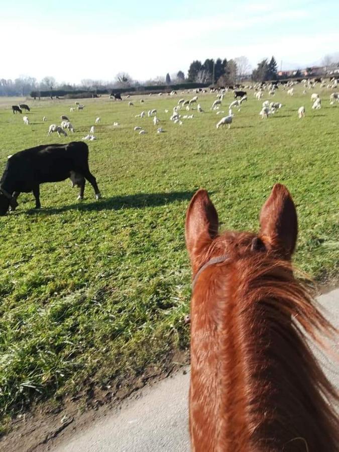 Azienda Agrituristica Scotti Somma Lombardo Exteriér fotografie